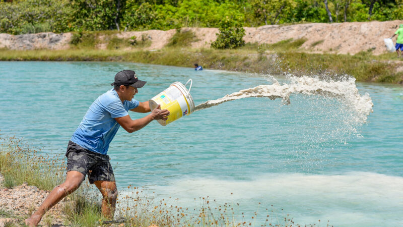 Projeto de piscicultura avança e chega à comunidade indígena São Marcos