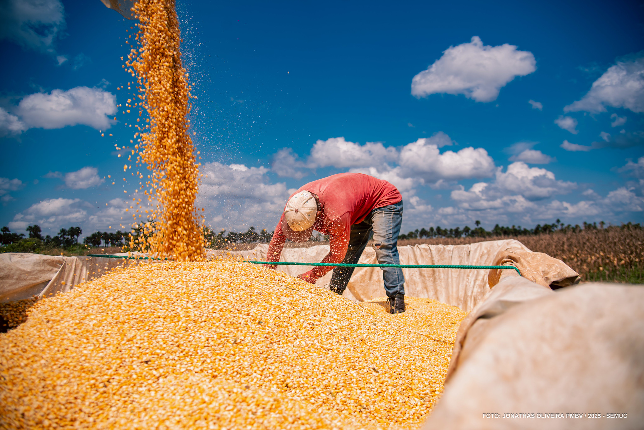 Com assistência do município, produtores rurais aumentam produtividade e garantem mais renda às famílias do campo