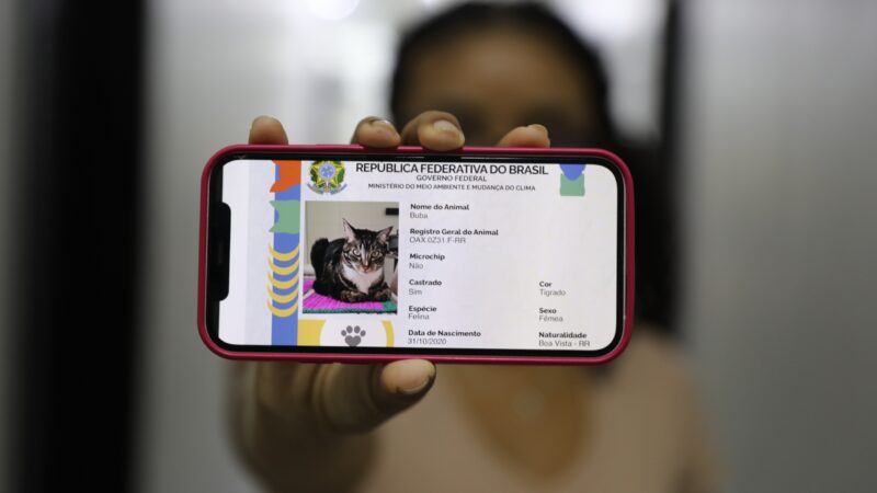 Carreta dos Direitos da DPE promove ação de registro gratuito de cães e gatos