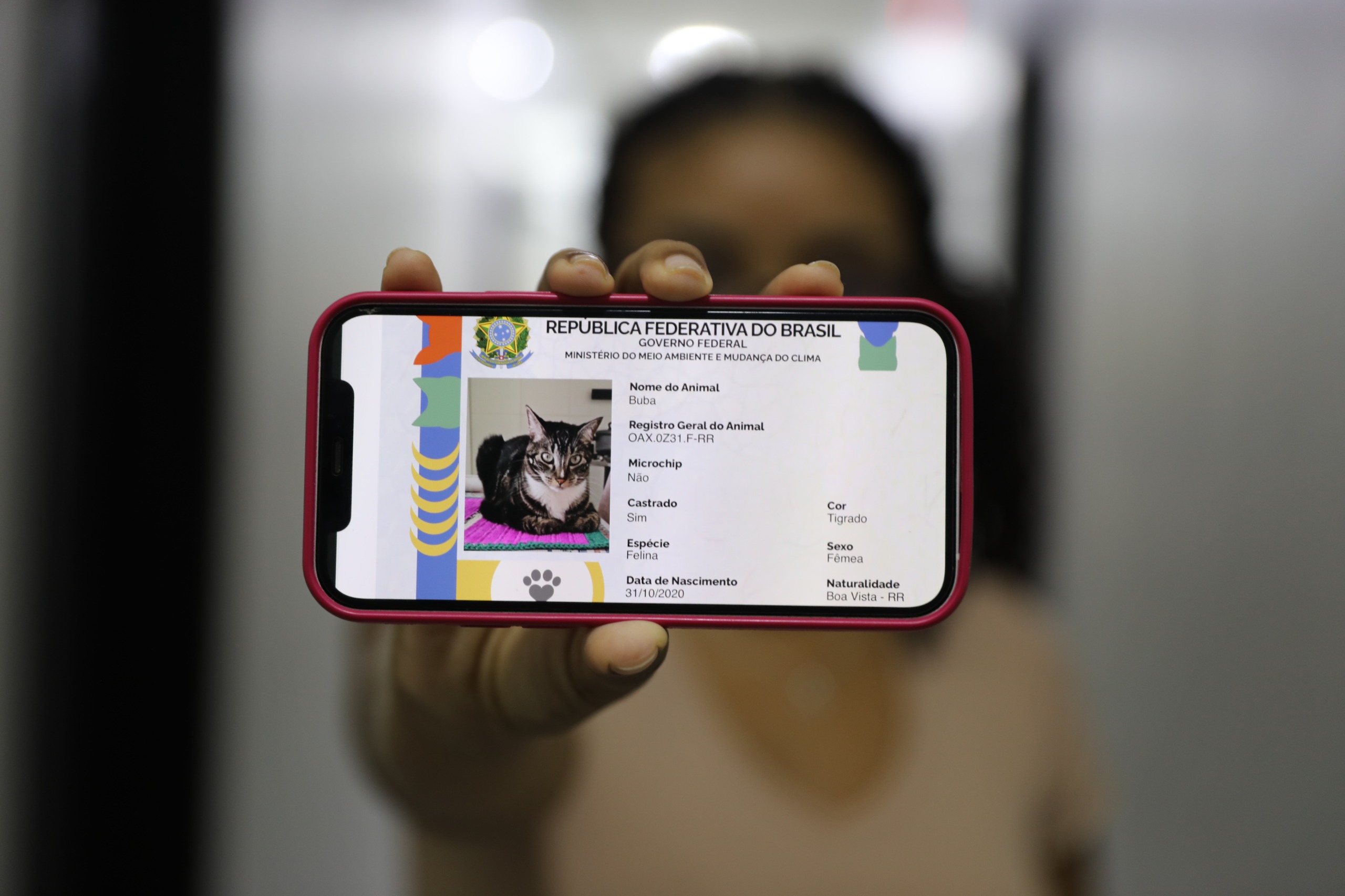 Carreta dos Direitos da DPE promove ação de registro gratuito de cães e gatos